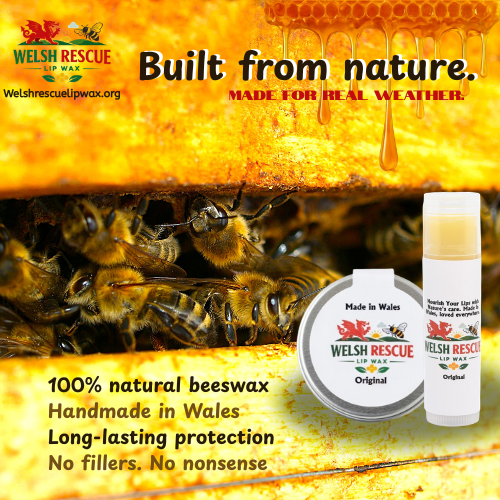 Website image lip balm