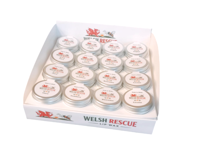 box-of-32-15g-lip-balm