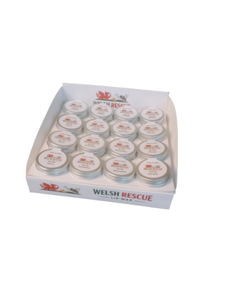 box-of-32-15g-lip-balm