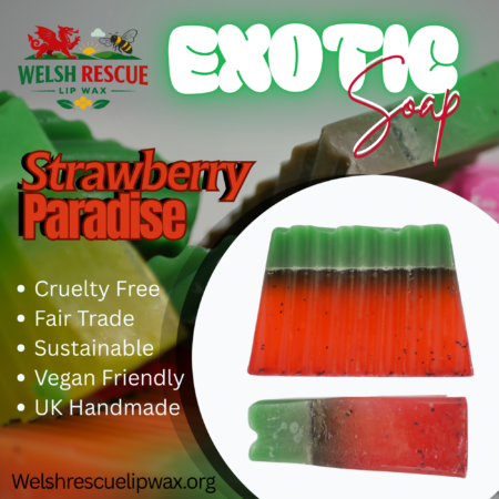 Handmade Soap