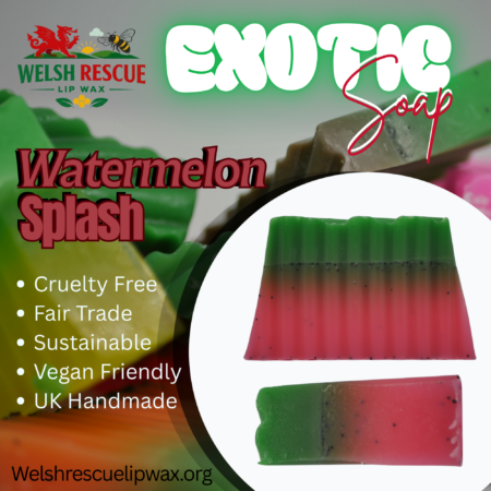 Watermelon Splash Handmade soap