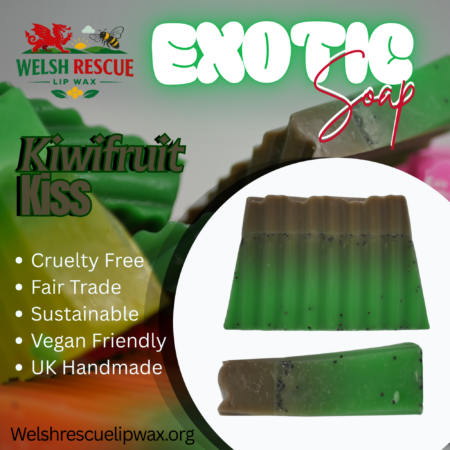 Kiwifruit Kiss Exotic Handmade Soap