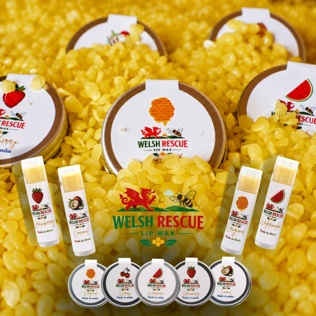 Selection of welsh rescue lip balm